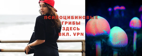 дмт Володарск