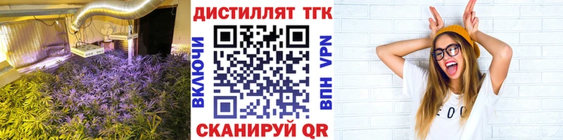 mega как зайти Кимры ТГК THC oil где продают наркотики