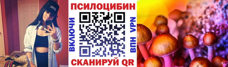 наркошоп  Кимры  Галлюциногенные грибы Cubensis 